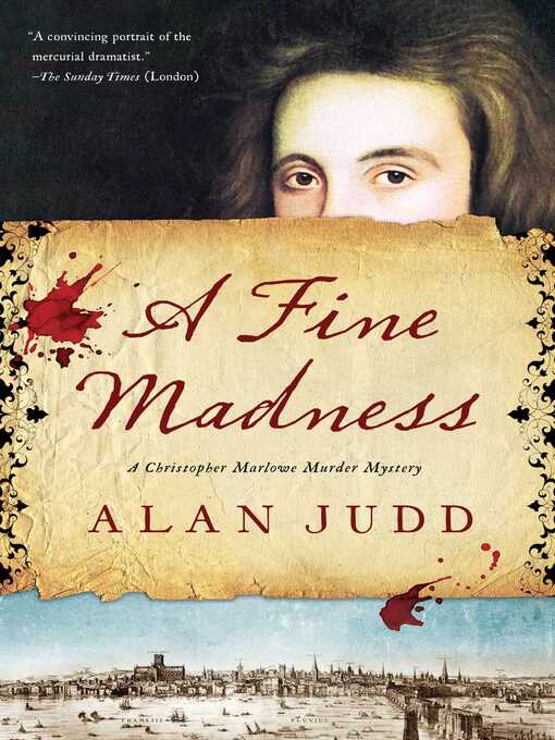 Cover image for A Fine Madness